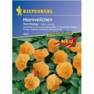 Hornveilchen Twix Orange